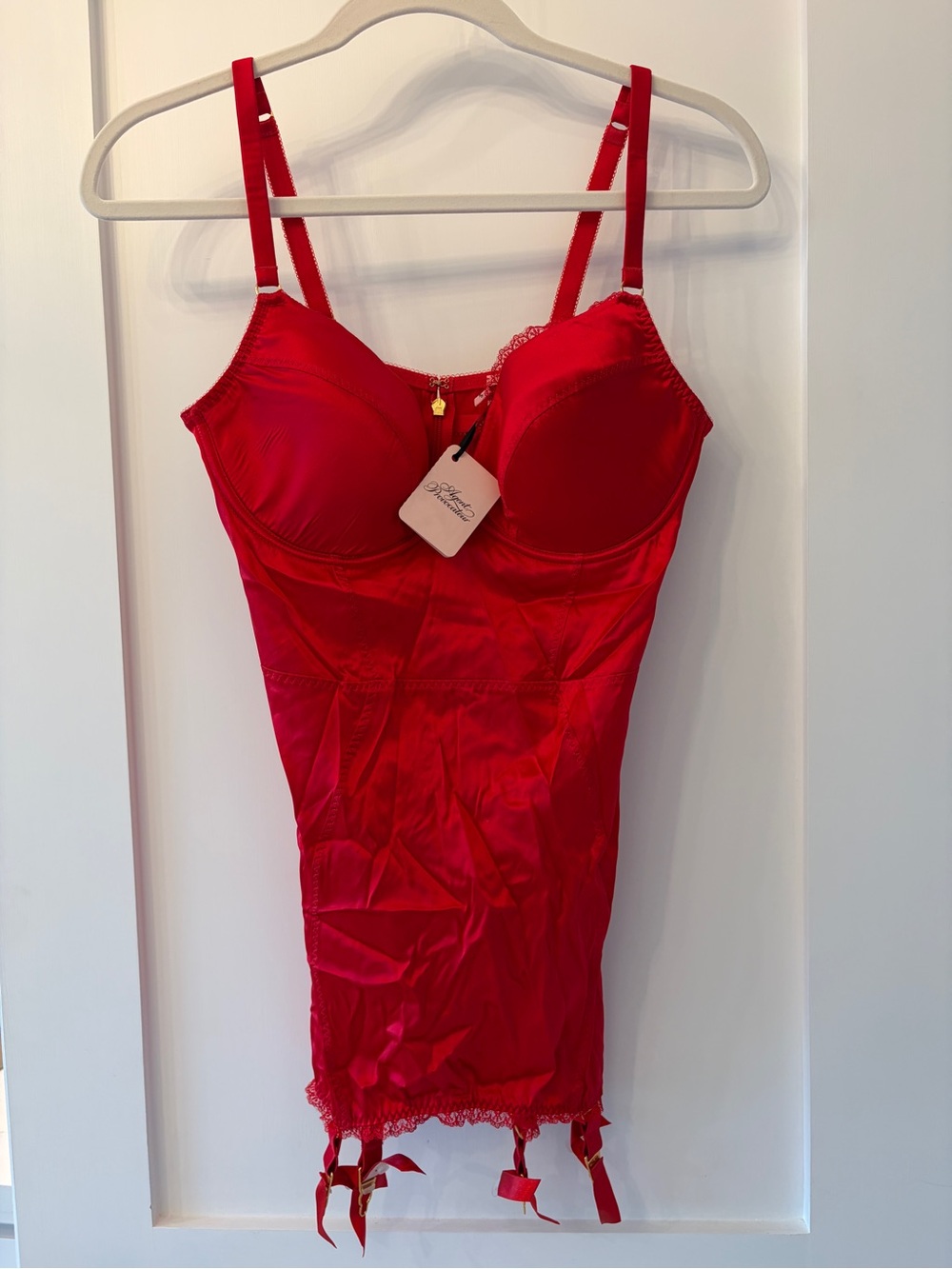 Agent Provocateur Scarlet Red Satin Bustier Chemise with Garter Details